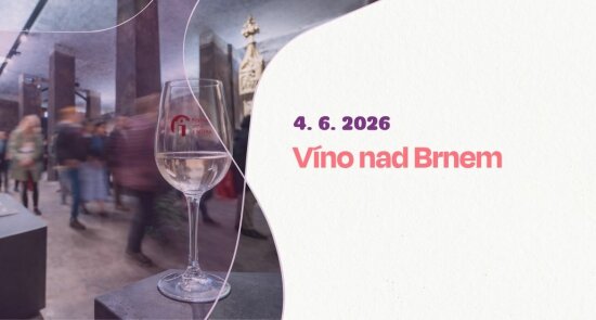 Víno z blízka: Víno nad Brnem